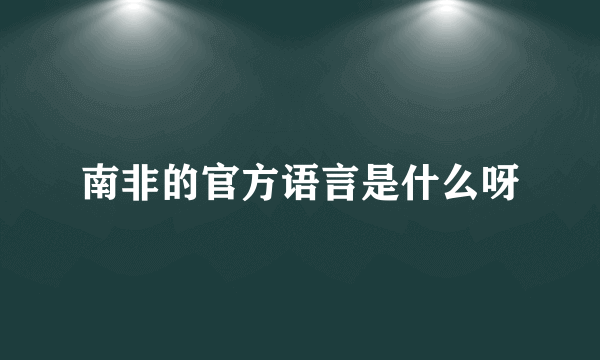 南非的官方语言是什么呀