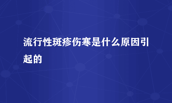 流行性斑疹伤寒是什么原因引起的