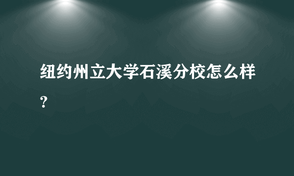 纽约州立大学石溪分校怎么样？