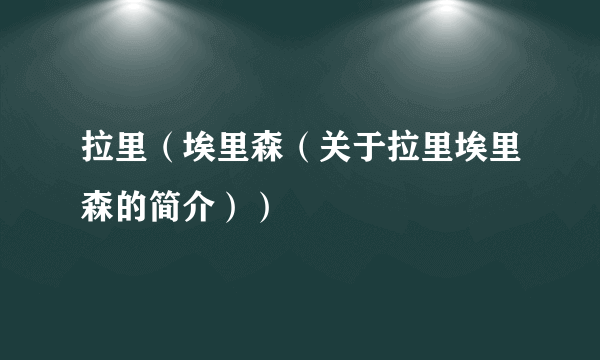 拉里（埃里森（关于拉里埃里森的简介））