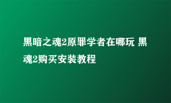 黑暗之魂2原罪学者在哪玩 黑魂2购买安装教程