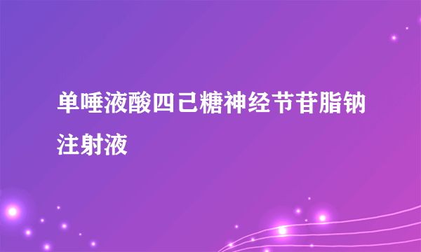 单唾液酸四己糖神经节苷脂钠注射液