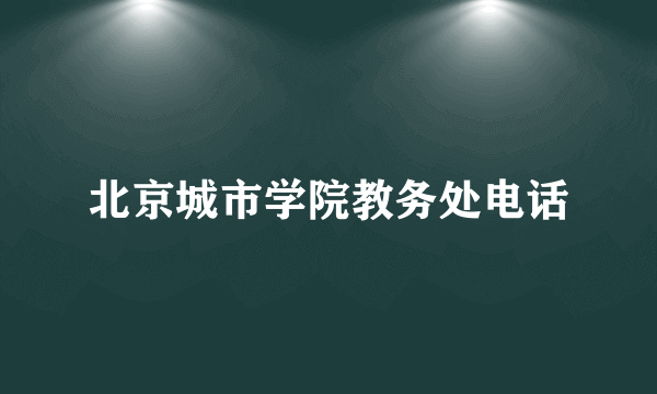 北京城市学院教务处电话