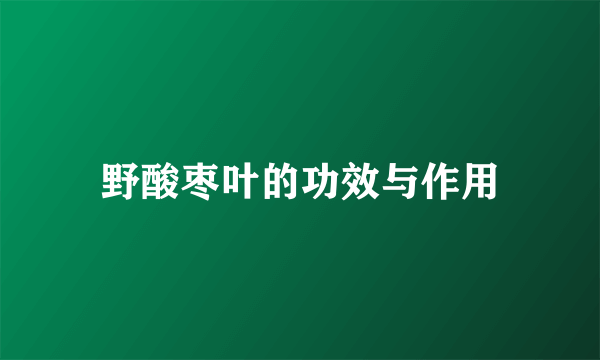 野酸枣叶的功效与作用