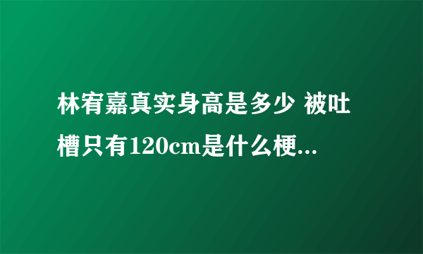 林宥嘉真实身高是多少 被吐槽只有120cm是什么梗_飞外网