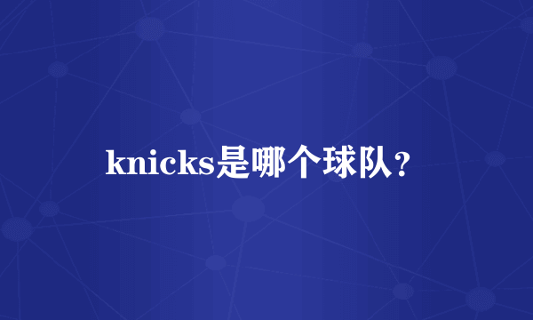 knicks是哪个球队？