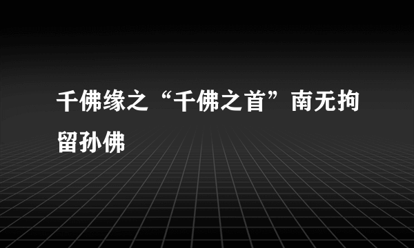 千佛缘之“千佛之首”南无拘留孙佛