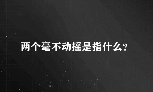 两个毫不动摇是指什么？