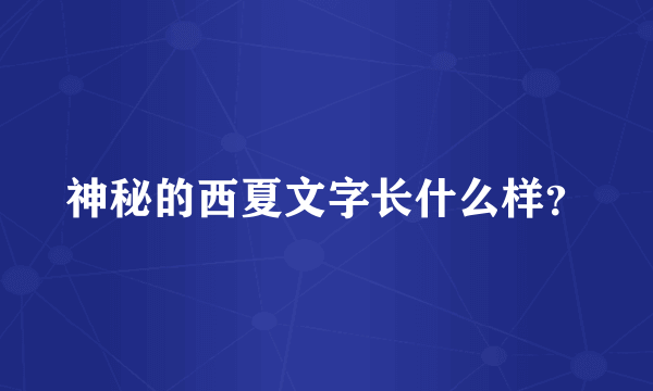 神秘的西夏文字长什么样？