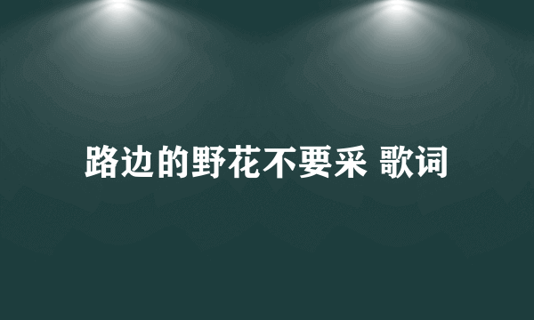 路边的野花不要采 歌词