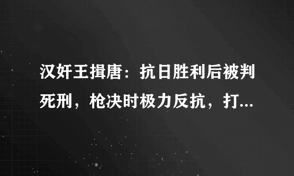 汉奸王揖唐：抗日胜利后被判死刑，枪决时极力反抗，打了七枪才死