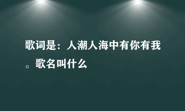 歌词是：人潮人海中有你有我。歌名叫什么