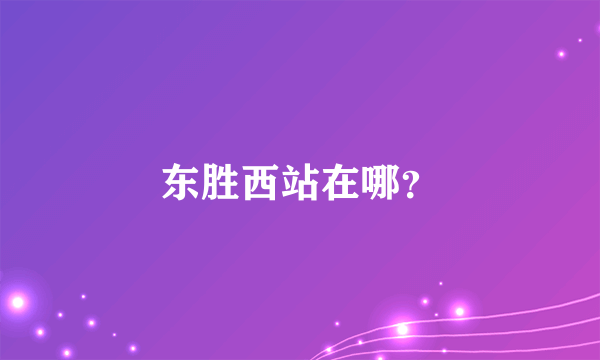 东胜西站在哪？