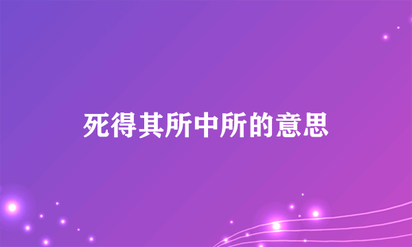 死得其所中所的意思