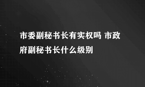 市委副秘书长有实权吗 市政府副秘书长什么级别