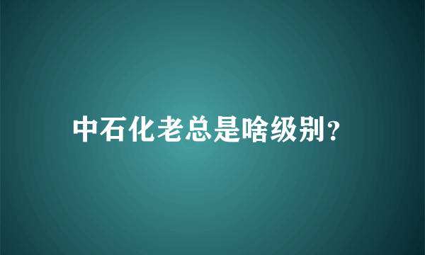 中石化老总是啥级别？