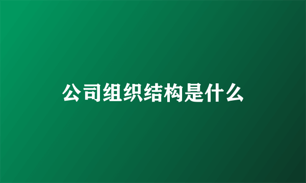 公司组织结构是什么