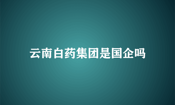 云南白药集团是国企吗