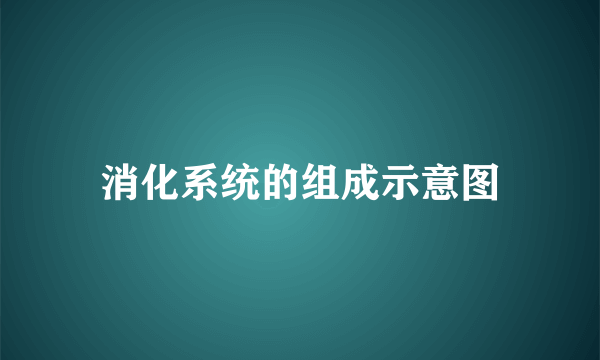 消化系统的组成示意图