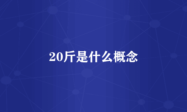 20斤是什么概念