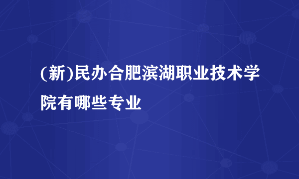 (新)民办合肥滨湖职业技术学院有哪些专业