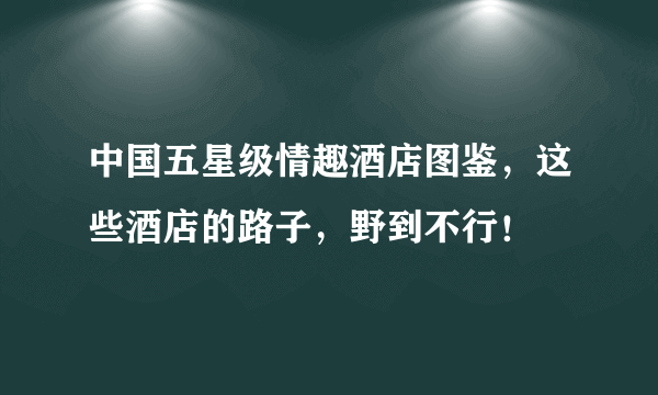 中国五星级情趣酒店图鉴，这些酒店的路子，野到不行！