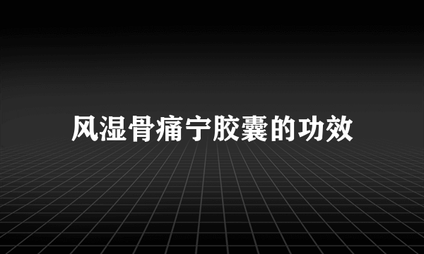 风湿骨痛宁胶囊的功效