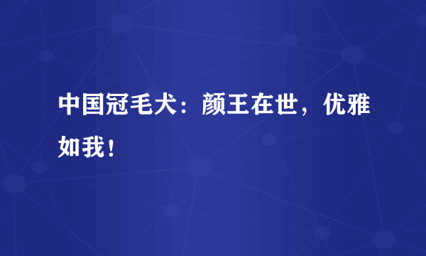 中国冠毛犬：颜王在世，优雅如我！