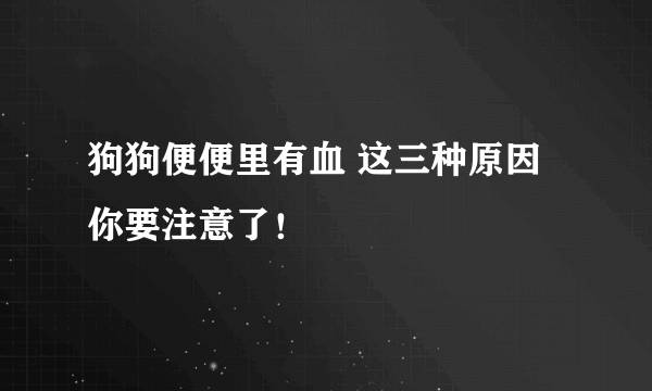 狗狗便便里有血 这三种原因你要注意了！