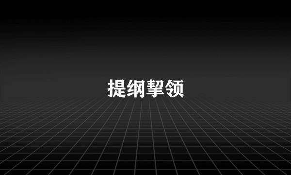 提纲挈领