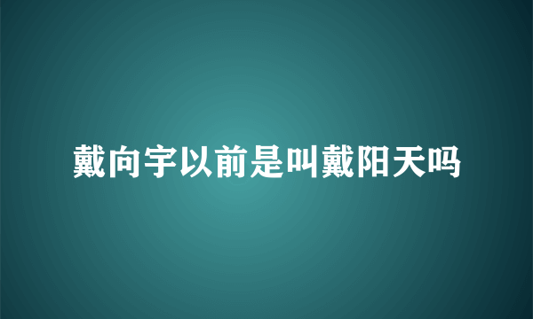 戴向宇以前是叫戴阳天吗