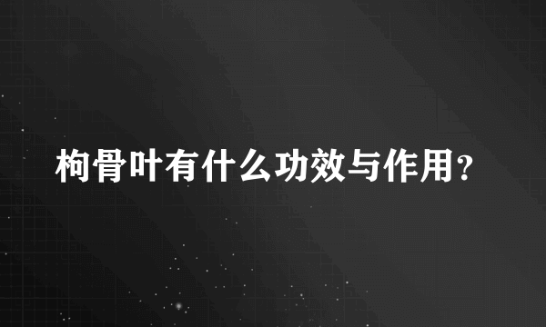 枸骨叶有什么功效与作用？