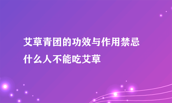 艾草青团的功效与作用禁忌 什么人不能吃艾草