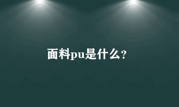 面料pu是什么？