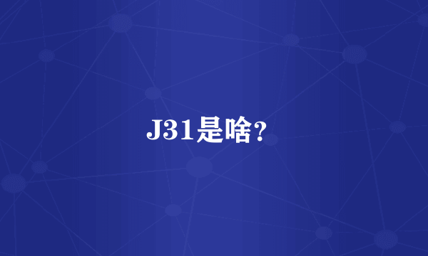 J31是啥？