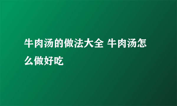 牛肉汤的做法大全 牛肉汤怎么做好吃