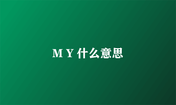 M Y 什么意思