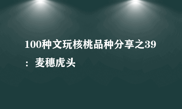 100种文玩核桃品种分享之39：麦穗虎头