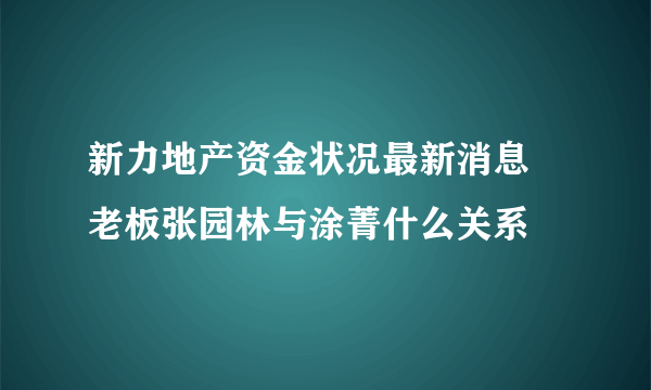 新力地产资金状况最新消息 老板张园林与涂菁什么关系