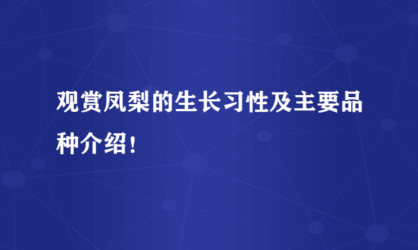 观赏凤梨的生长习性及主要品种介绍！