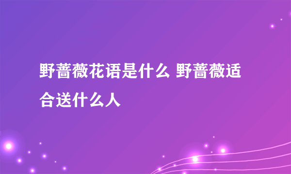 野蔷薇花语是什么 野蔷薇适合送什么人