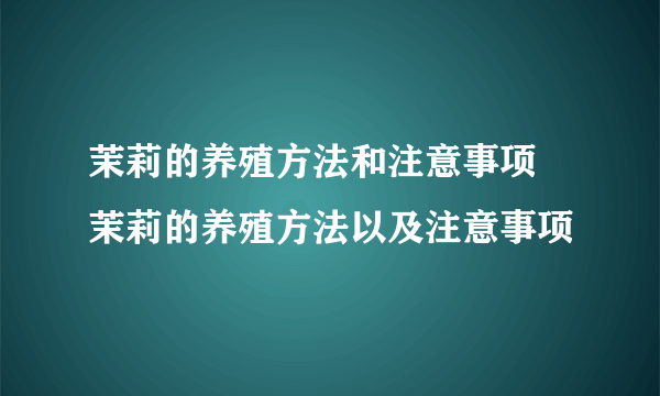 茉莉的养殖方法和注意事项 茉莉的养殖方法以及注意事项