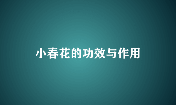 小春花的功效与作用