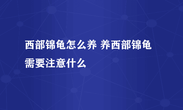 西部锦龟怎么养 养西部锦龟需要注意什么