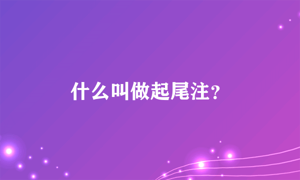 什么叫做起尾注？