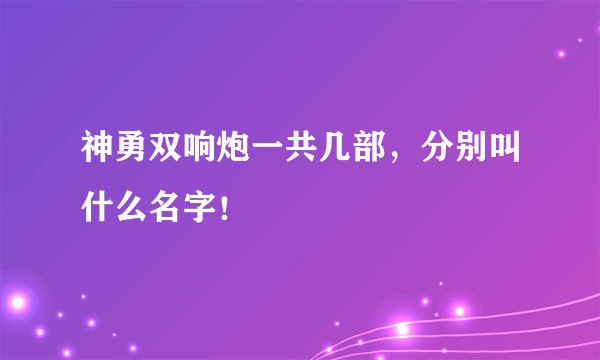 神勇双响炮一共几部，分别叫什么名字！