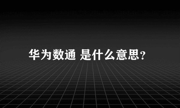 华为数通 是什么意思？