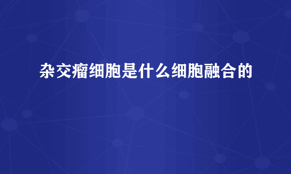 杂交瘤细胞是什么细胞融合的