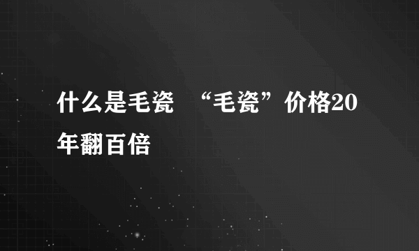 什么是毛瓷  “毛瓷”价格20年翻百倍