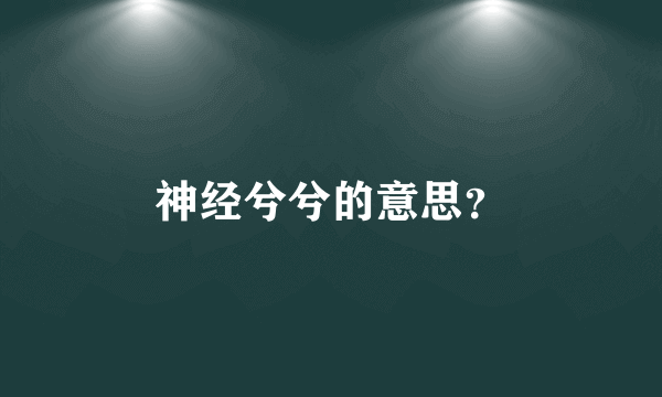 神经兮兮的意思？